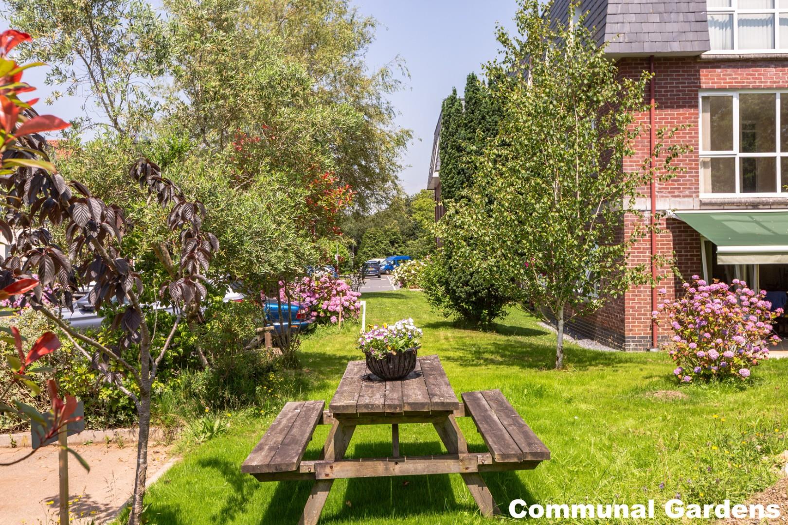 Willow court, Clyne Common, Swansea, SA3 3JB